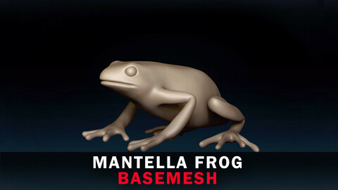 Mantella Frog Base Mesh 3D Model