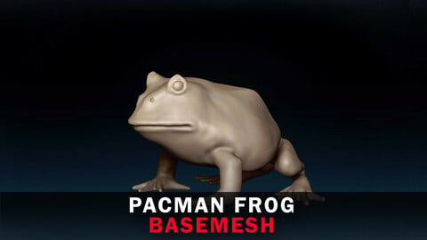 Pacman Frog Base Mesh 3D Model