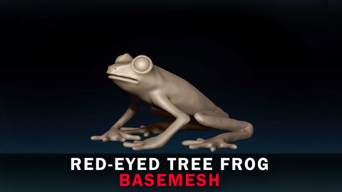 Red Eyed Tree Frog Base Mesh 3D Model