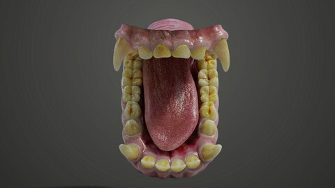 Gorilla Oral Cavity | VFX Grace