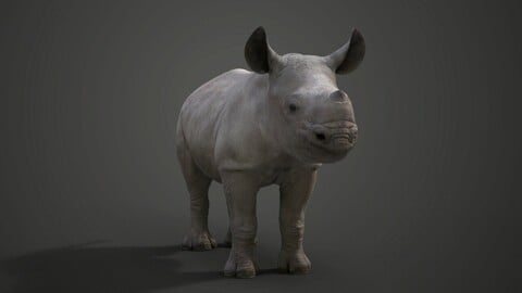 Rhino Baby Animated | VFX Grace