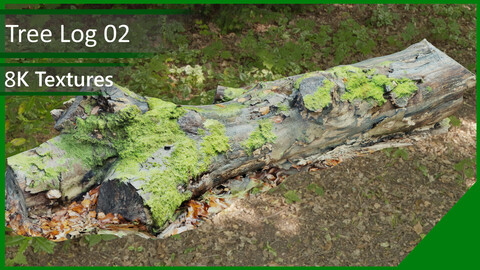 Tree Log VOL 02