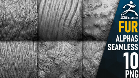 10 Fur Alphas for ZBrush vol.3