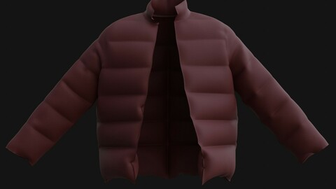 3D Puffer jacket - Male Winter jacket