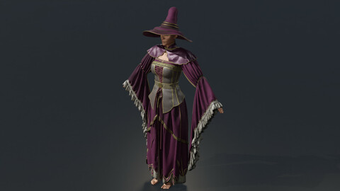 Long sleeved wizard robe