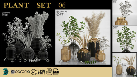 plant set 06