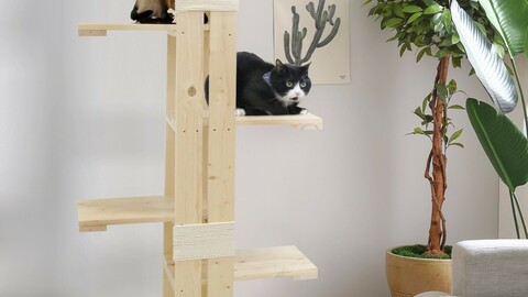 Cat Wood Cat Tower DIY