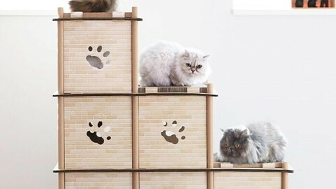 Cat Cat Tower & Scratcher Collection