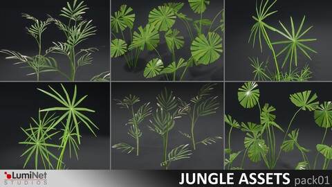 LumiNet | Jungle Assets pack01