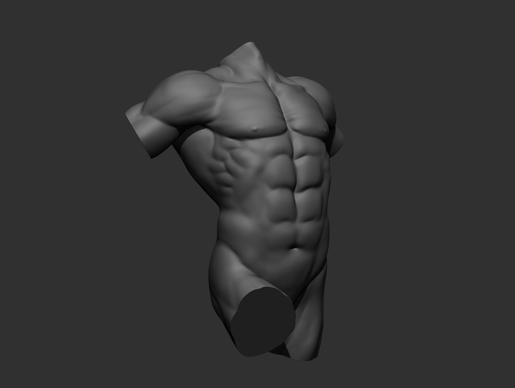 male torso reference