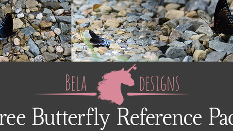 Beladesigns' Free Butterfly pack