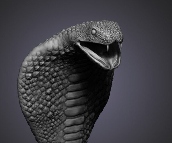 ArtStation - The venomous cobra snake stands in a deadly runoff among ...