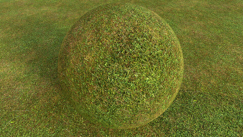 Grass (306) - Photogrammetry based Environment Material