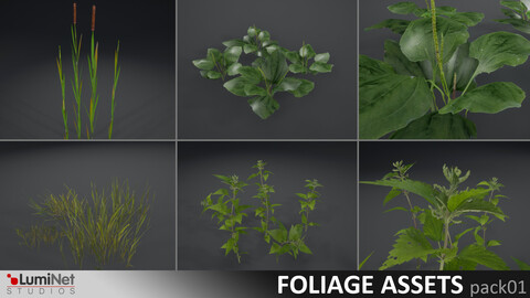 LumiNet | Foliage Assets Pack Vol #01