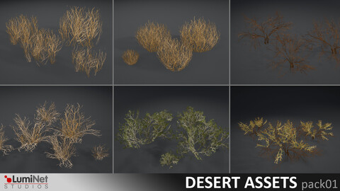 LumiNet | Desert Assets pack01