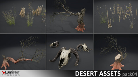 LumiNet | Desert Assets pack04