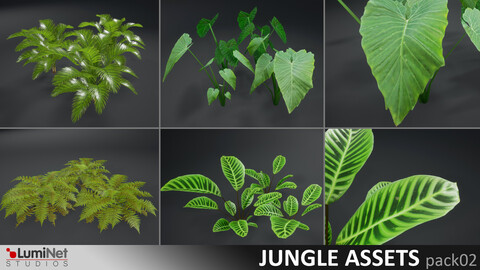 LumiNet | Jungle Assets pack02