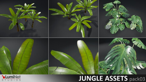 LumiNet | Jungle Assets pack03