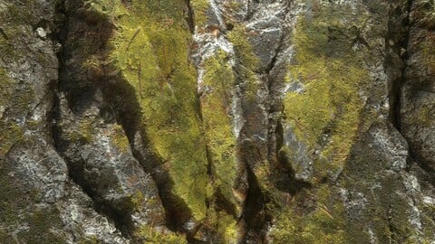 Mossy Cliff Material - Substance Designer