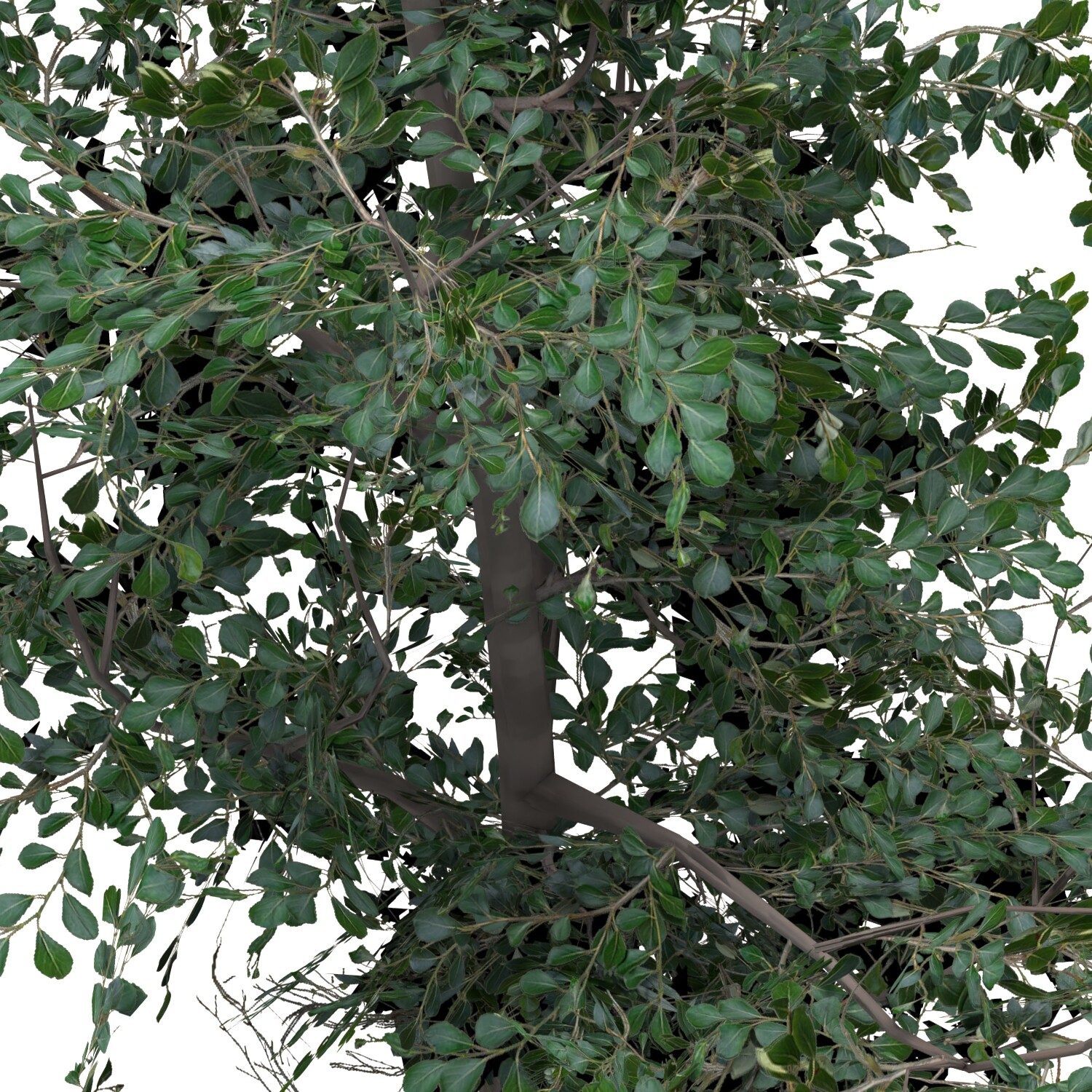 ArtStation - Low Poly Tree Bundle - Game Ready | Resources