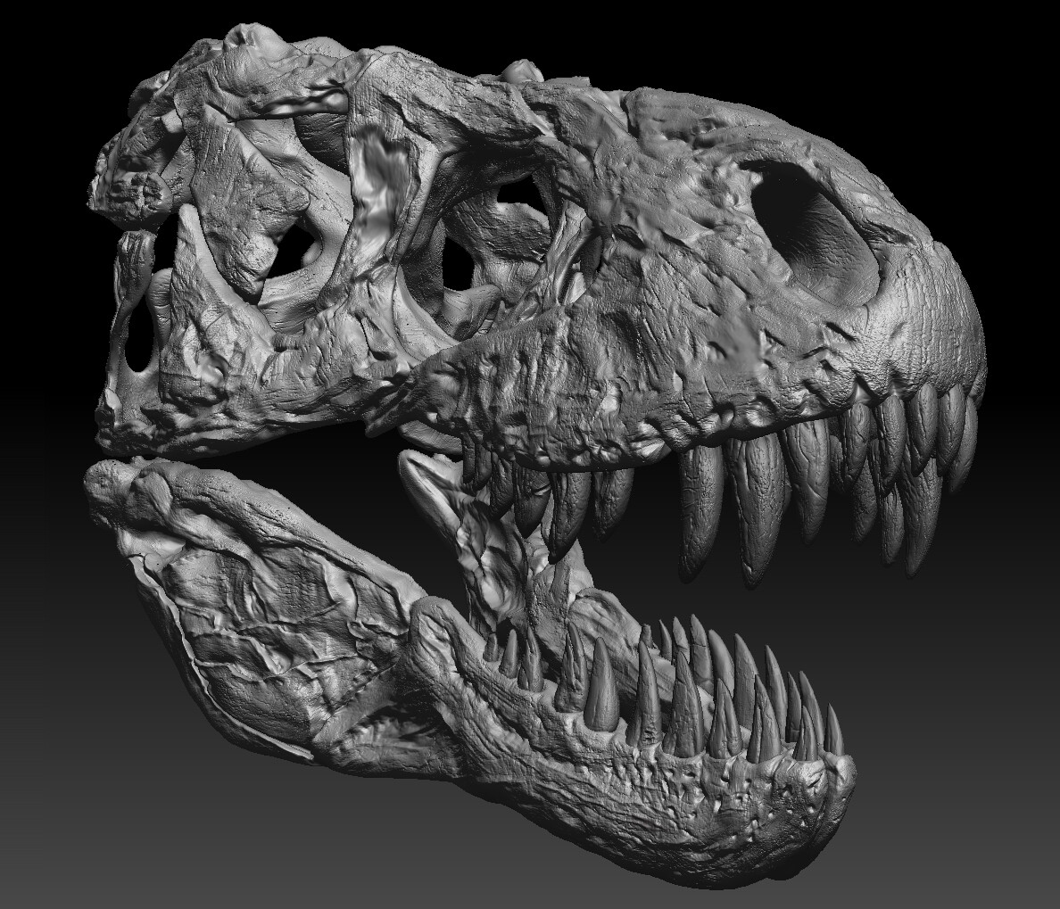 Amazon.com: WLNTDOLA Tyrannosaurus Jane Skull Model Resin