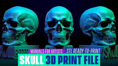 Skull for 3d printing. STL