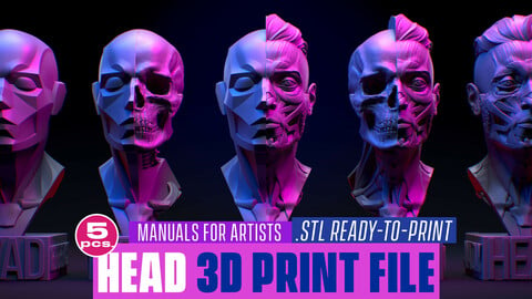 Head. Facial anatomy for 3d printing. STL