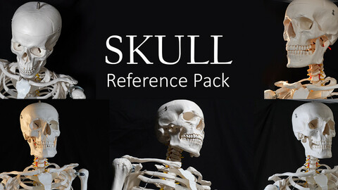 Connected Skull -Reference Pack