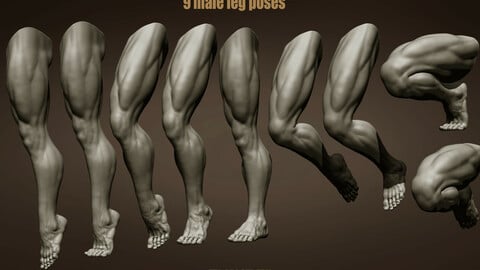 9 Male leg poses