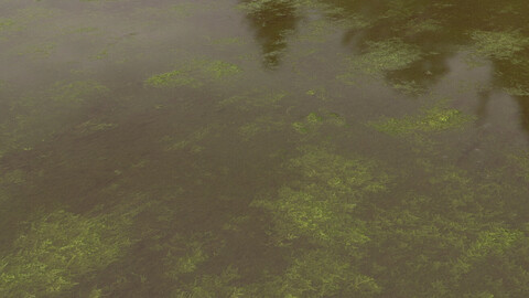 Swamp Wet Ground PBR (FREE) 4K