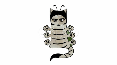 Cat insect