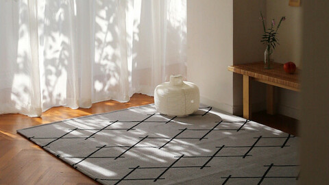 Modern pattern rug