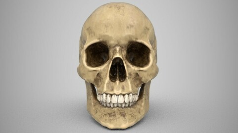 Pete's Skull