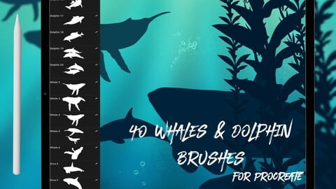 40 Dolphin & Whale Brushes for Procreate