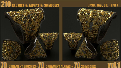 70 Ornaments  IMM Brushes +  70 ornaments Alphas + 70 ornaments 3D Models Vol_01