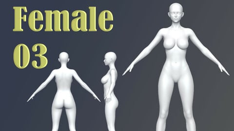 Female 03 Base Mesh