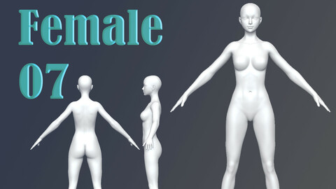 Female 07 Base Mesh