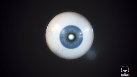 Eyeball Realistic 3dModel