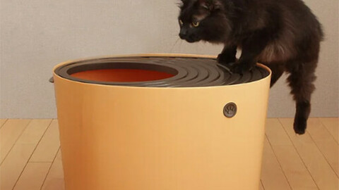 Desertification prevention top door cat toilet