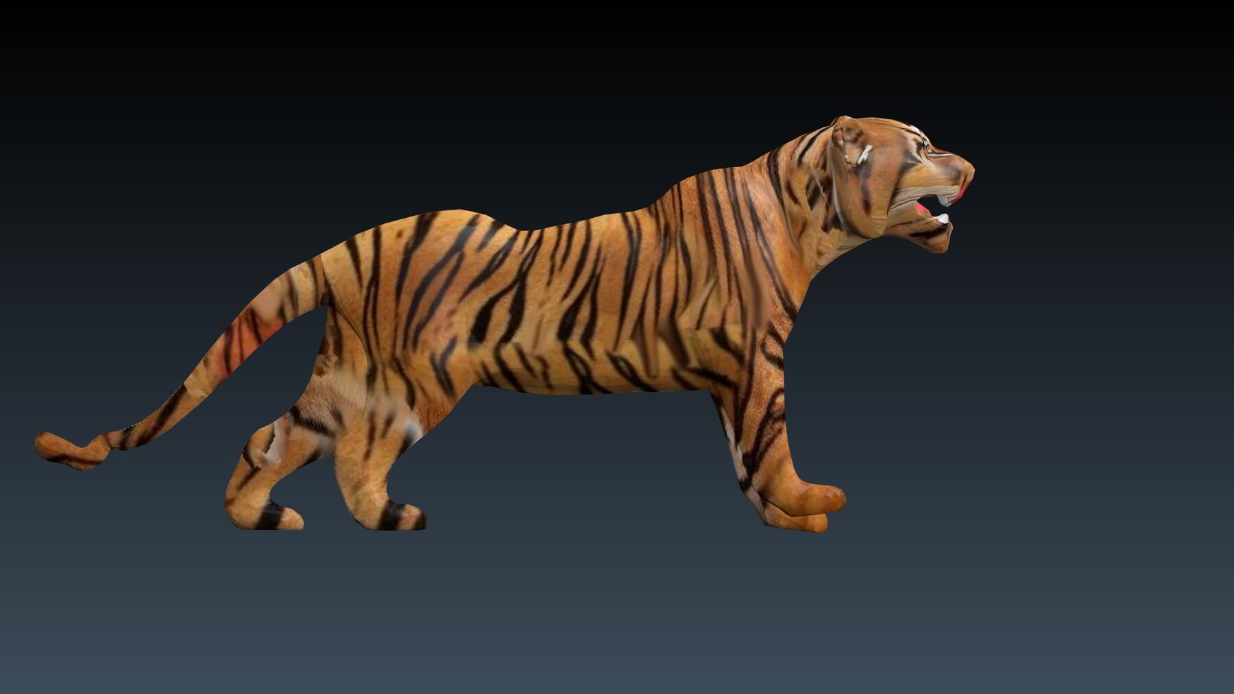 Tiger Collection 3D Model Rigged and Low poly Game ready