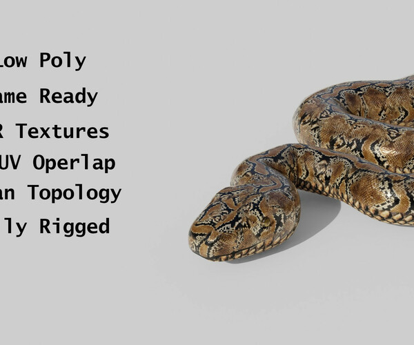 ArtStation - Python Snake - Low Poly - Game Ready - PBR | Game Assets