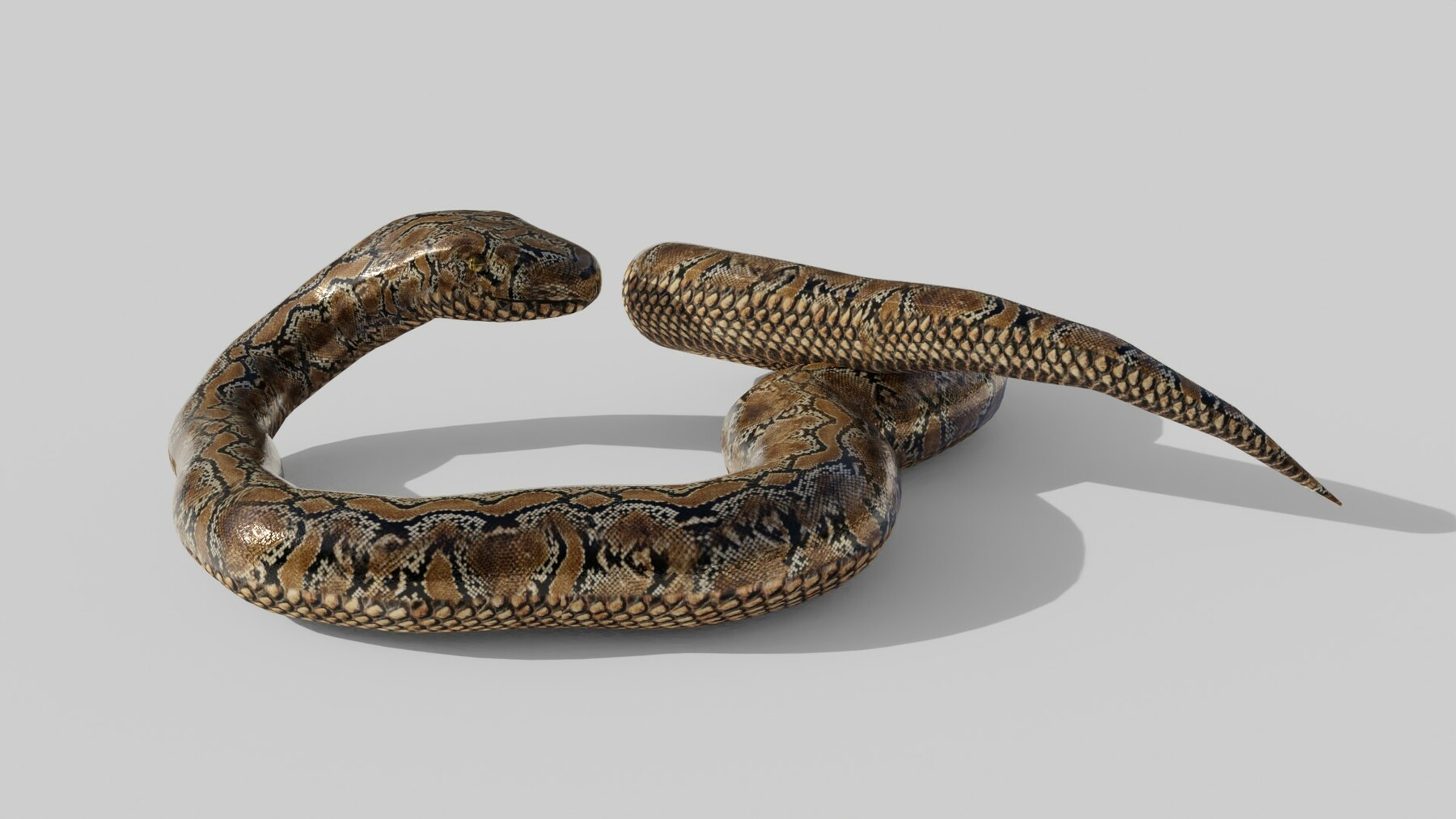 ArtStation - Python Snake - Low Poly - Game Ready - PBR | Game Assets