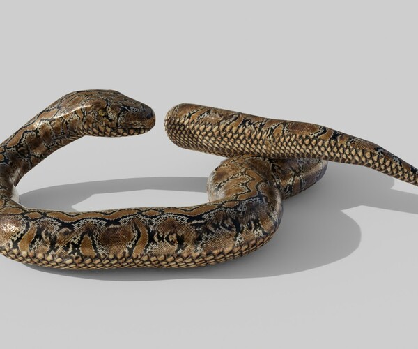 ArtStation - Python Snake - Low Poly - Game Ready - PBR | Game Assets