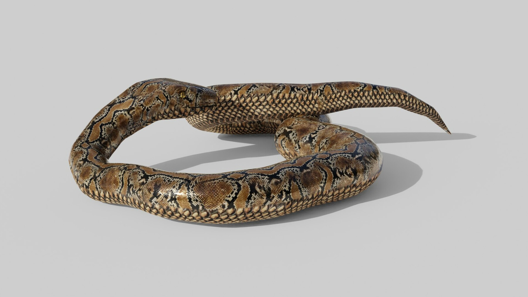 ArtStation - Python Snake - Low Poly - Game Ready - PBR | Game Assets