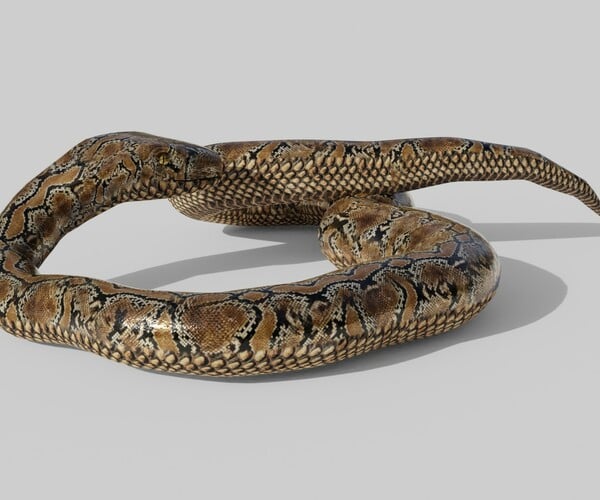 ArtStation - Python Snake - Low Poly - Game Ready - PBR | Game Assets