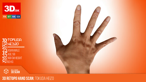 Retopologized 3D Hand Scan | Tokuda Heizo