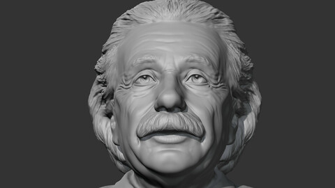 Einstein 3D print model