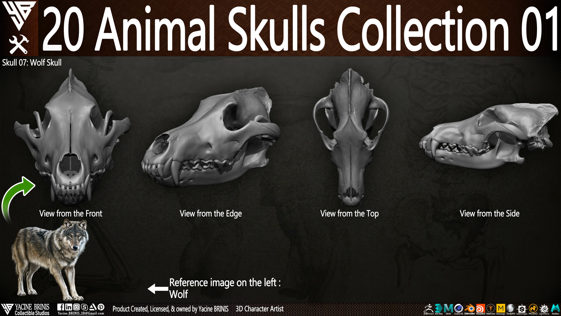 ArtStation - 20 Animal Skulls Collection 01 | Resources