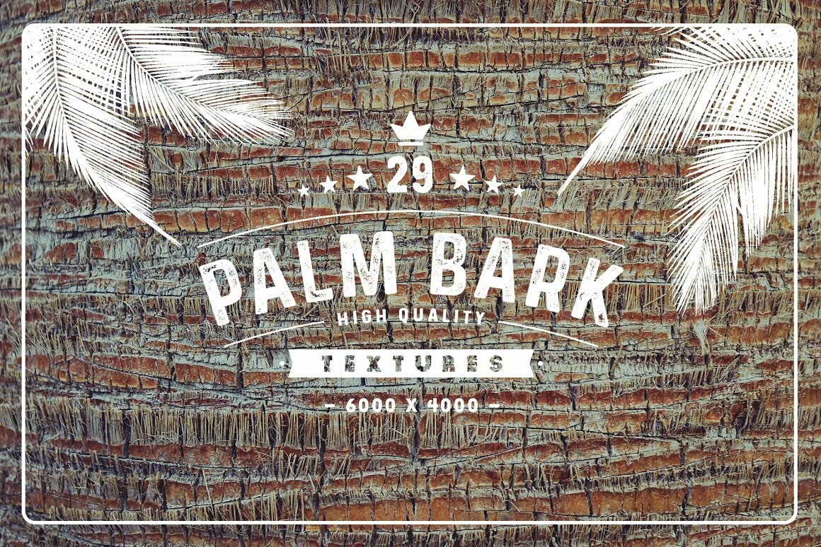 ArtStation - 29 Palm Bark Textures & Backgrounds | Resources