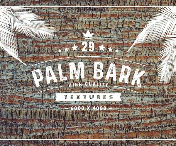 ArtStation - 29 Palm Bark Textures & Backgrounds | Resources